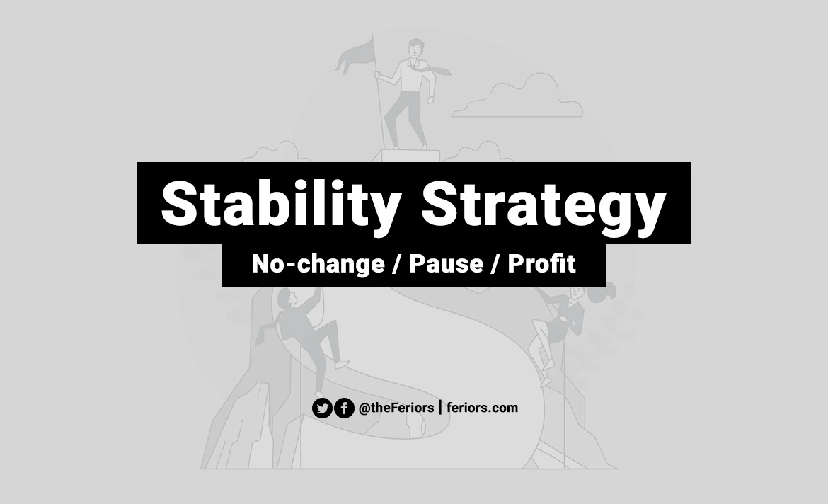 Stability Strategy Definition