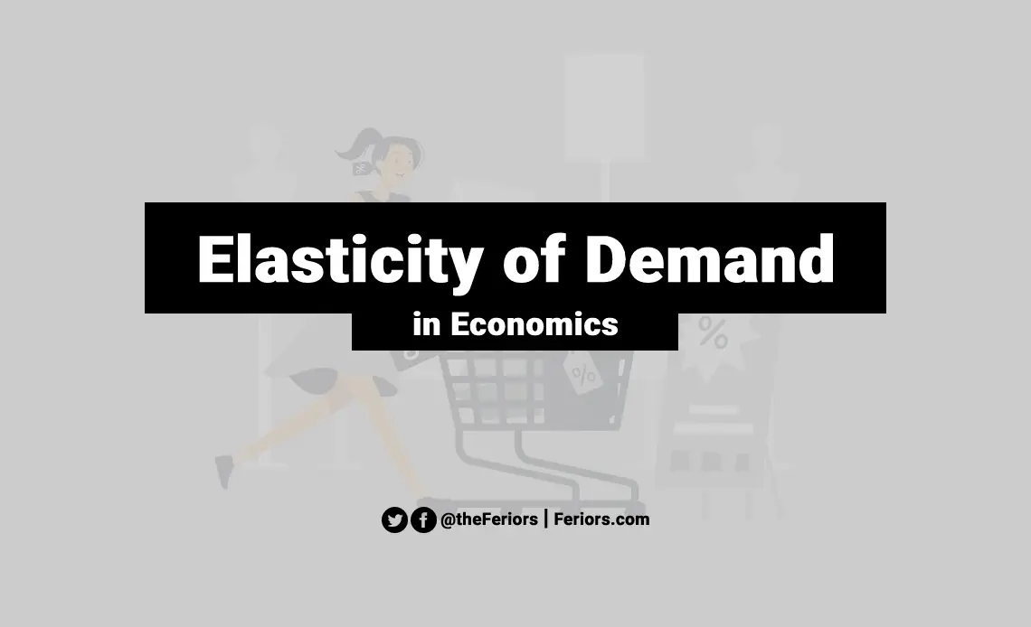 Elasticity of Demand Definition in Economics