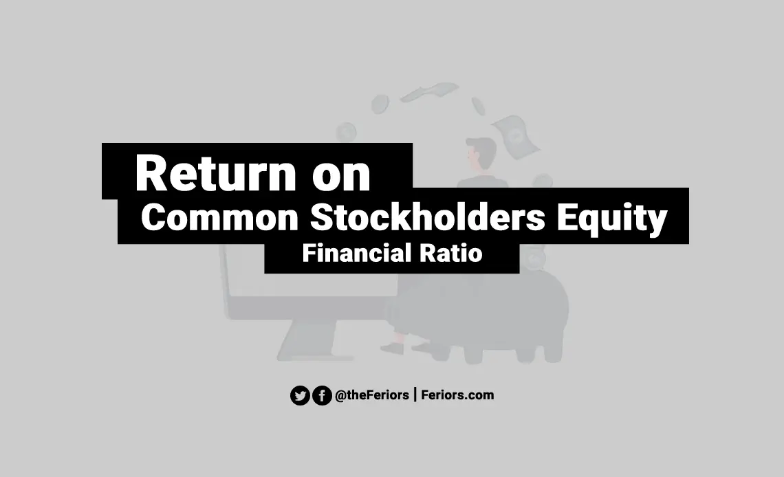 Return on Common Stockholders Equity Formula & Definition