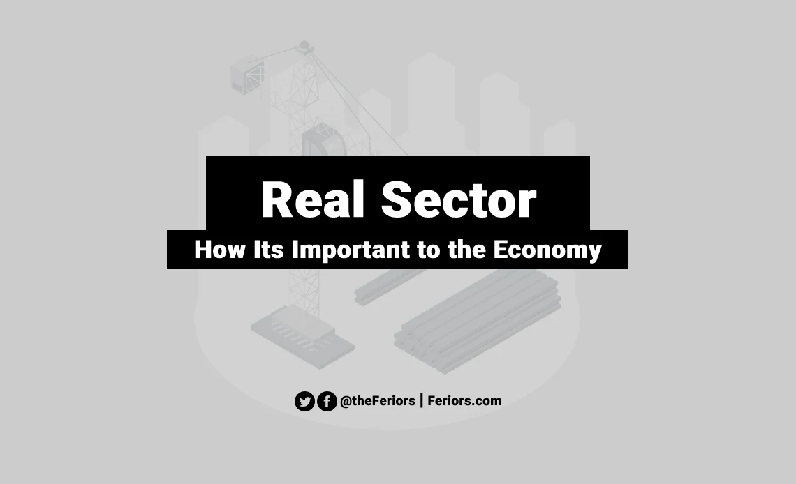 Real Sector Explained: How Its Important to the Economy